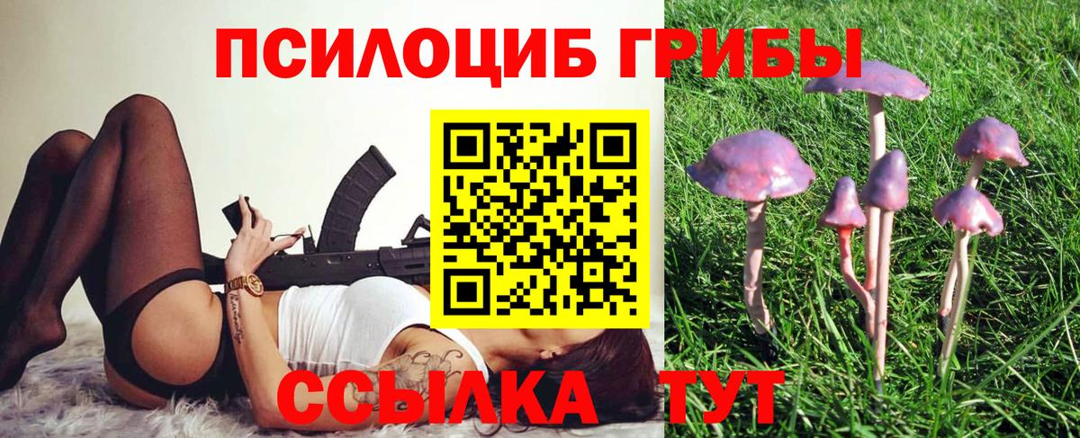 Галлюциногенные грибы мицелий  Псилоцибиновые грибы Magic Shrooms  Вход с VPN  Елец 